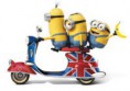 /album/galleria-fotografica/minion-i-jpg/